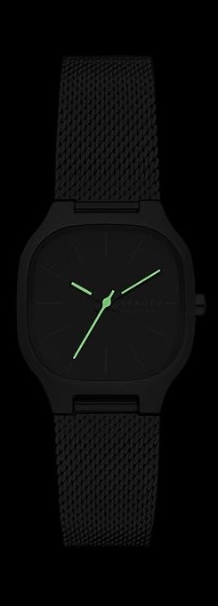 Наручные часы  Skagen  Mellem Skagen SKW3163 (фото 5)