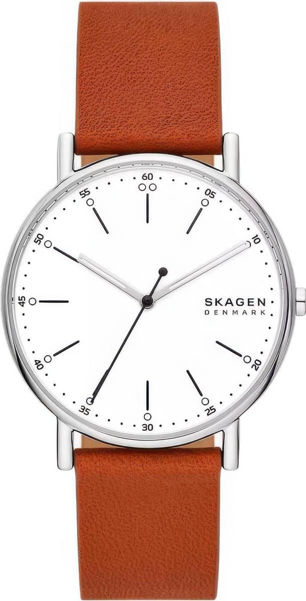 Наручные часы  Skagen  Signatur Skagen SKW6903 (фото 1)