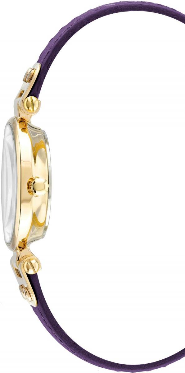 Наручные часы  Anne Klein  Leather Anne Klein 9442CHPR (фото 2)