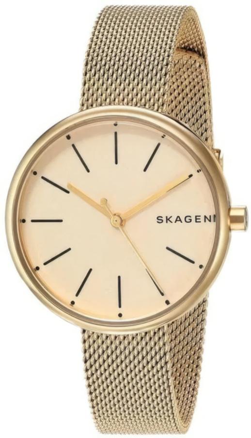 Наручные часы  Skagen  Steel Women Skagen SKW2614 (фото 1)