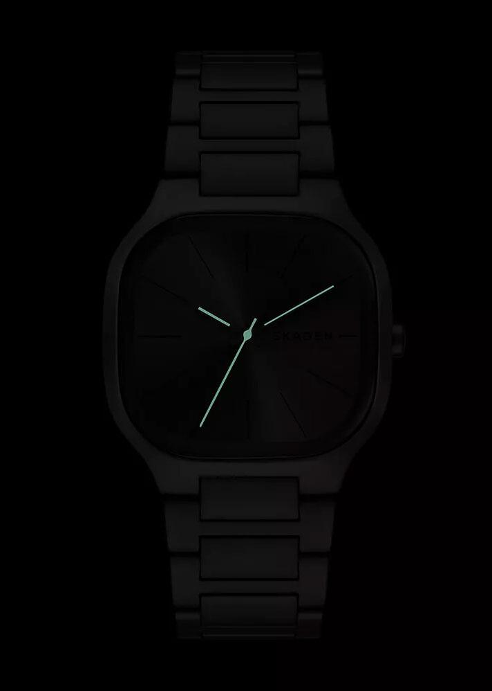 Наручные часы  Skagen  Mellem Skagen SKW6936 (фото 3)