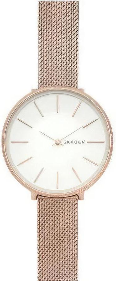 Наручные часы  Skagen  Steel Women Skagen SKW2726 (фото 1)