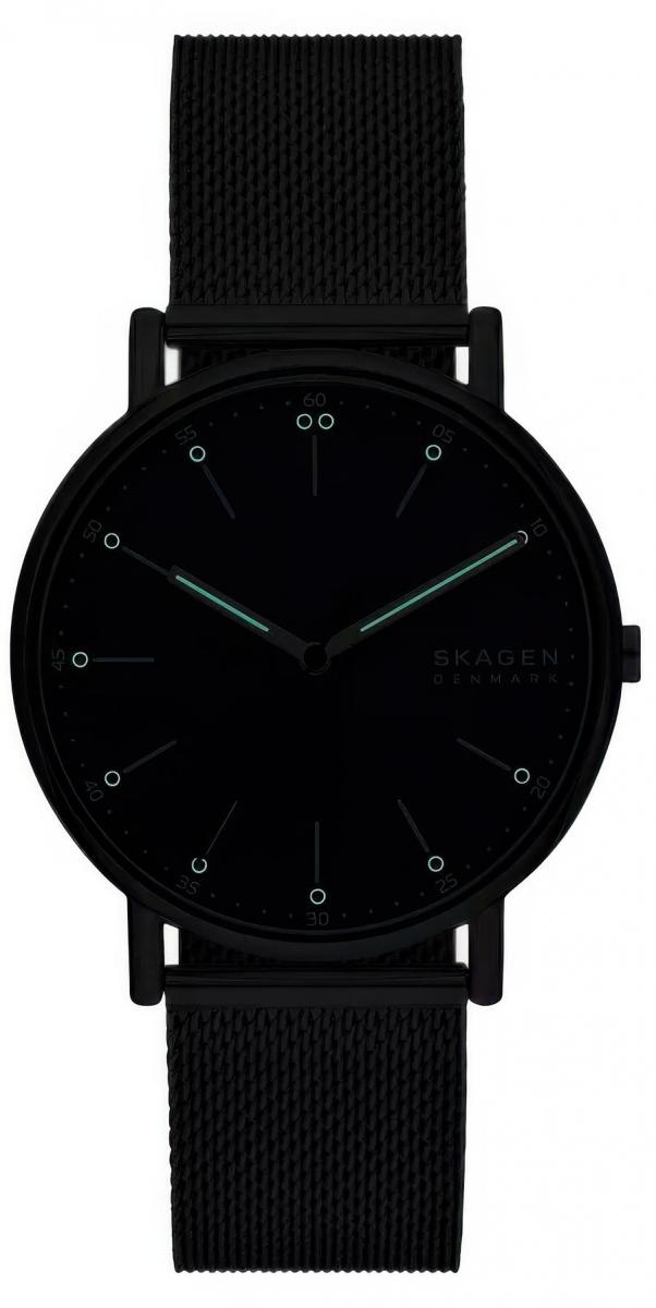 Наручные часы  Skagen  Signatur Skagen SKW6904 (фото 4)