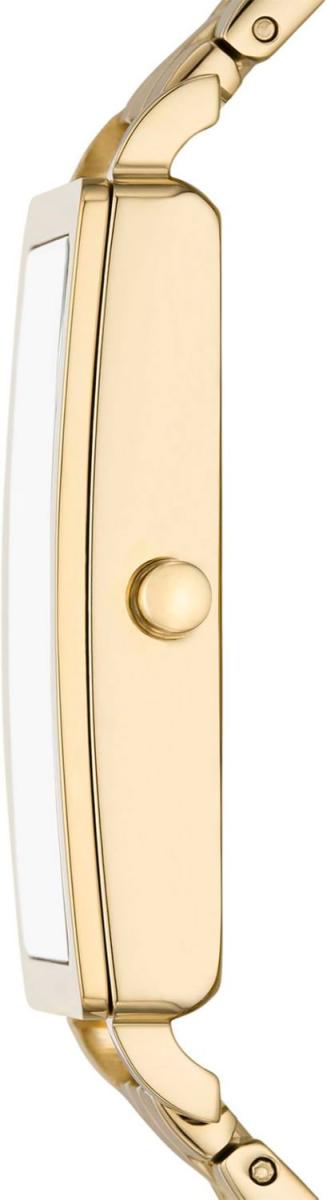 Наручные часы  Skagen  Hagen Skagen SKW3098 (фото 3)