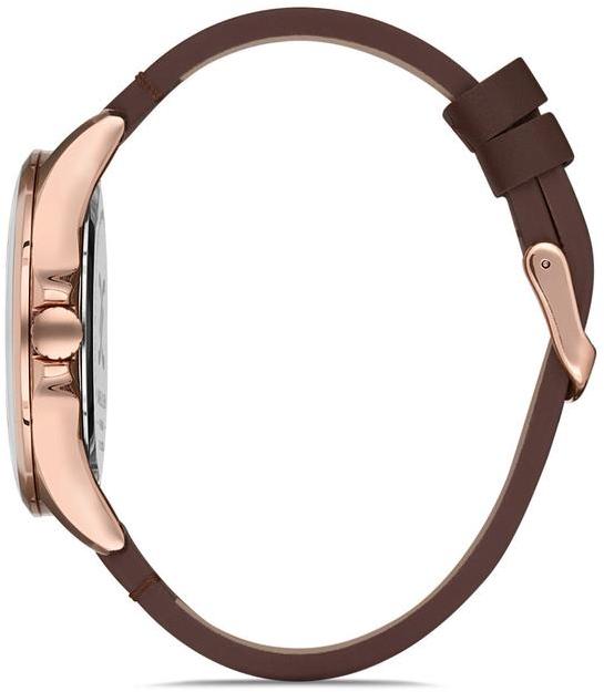 Наручные часы  Daniel Klein  Premium Daniel Klein 12870-4 (фото 2)