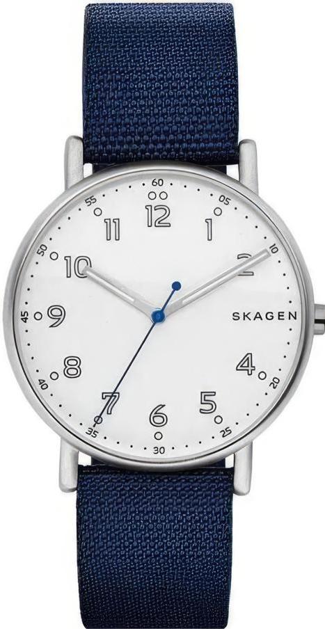 Наручные часы  Skagen  Mesh Skagen SKW6356 (фото 1)