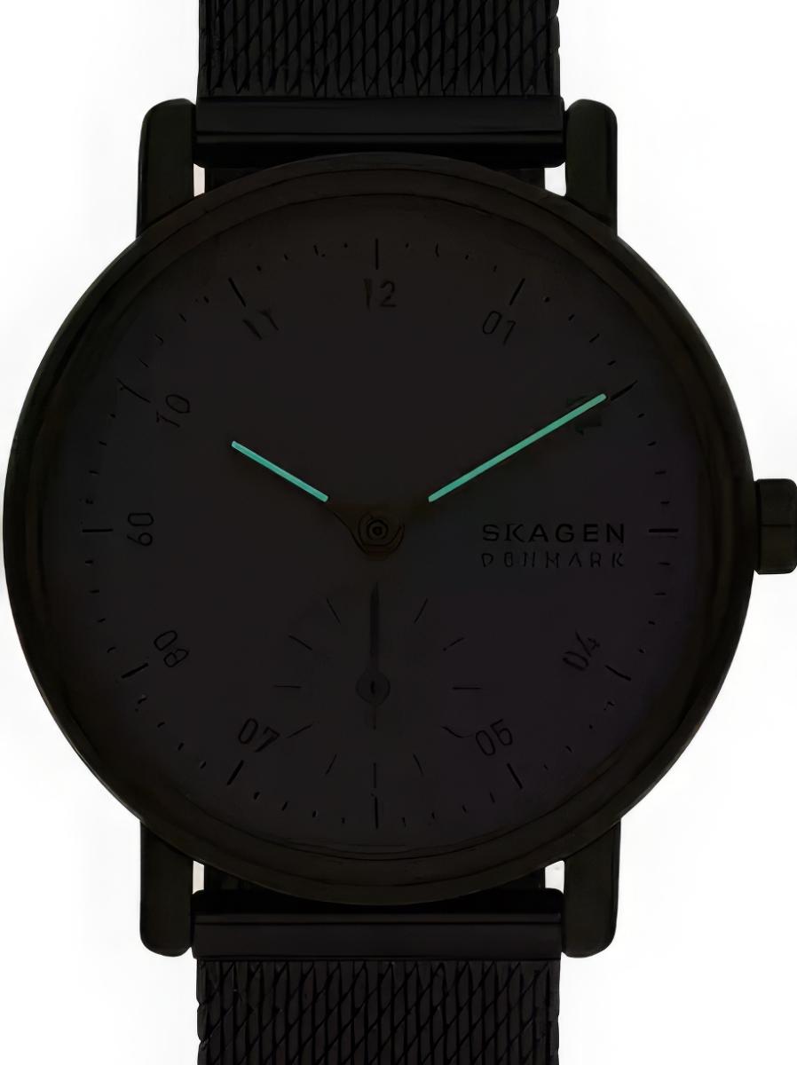 Наручные часы  Skagen  Kuppel Skagen SKW3101 (фото 3)