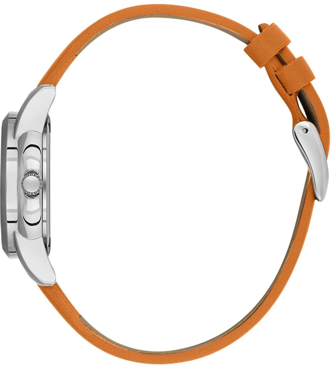 Наручные часы  Daniel Klein  Premium Daniel Klein 13822-2 (фото 2)