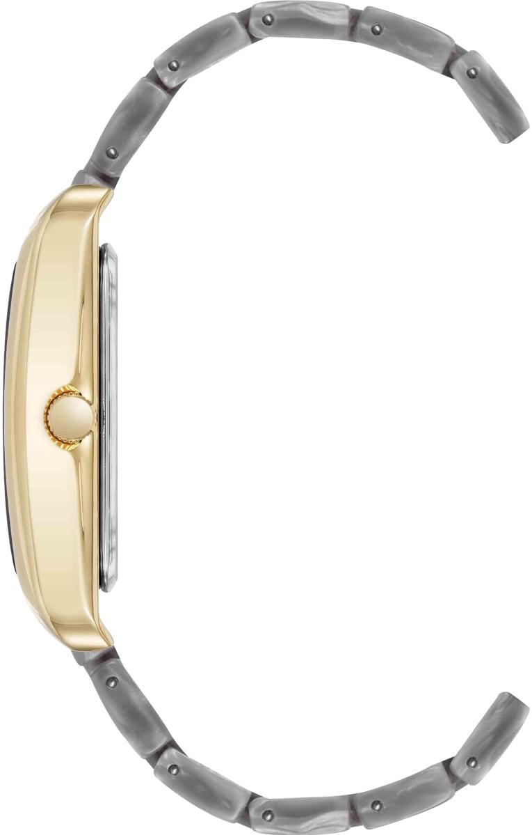 Наручные часы  Anne Klein  Plastic Anne Klein 5290GPLG (фото 2)