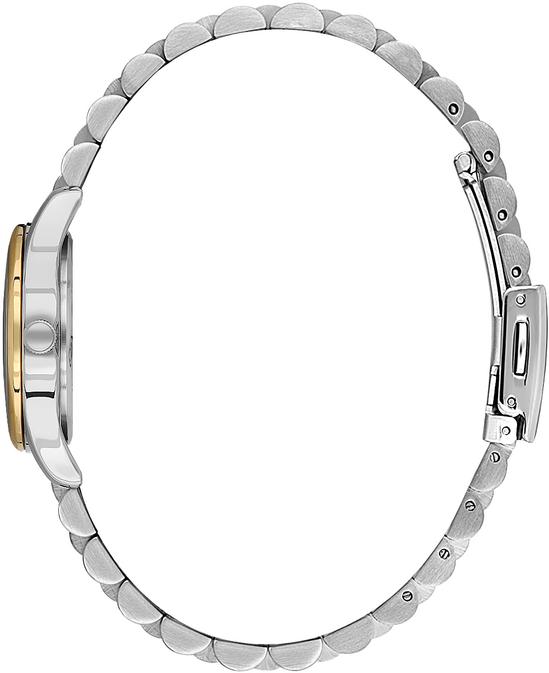 Наручные часы  Daniel Klein  Premium Daniel Klein 13914-5 (фото 2)