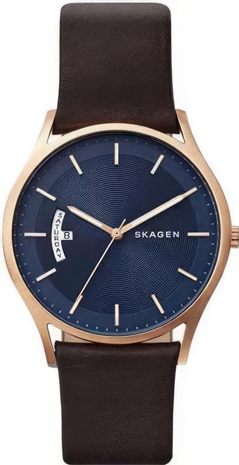 Наручные часы  Skagen  Leather Skagen SKW6395 (фото 1)