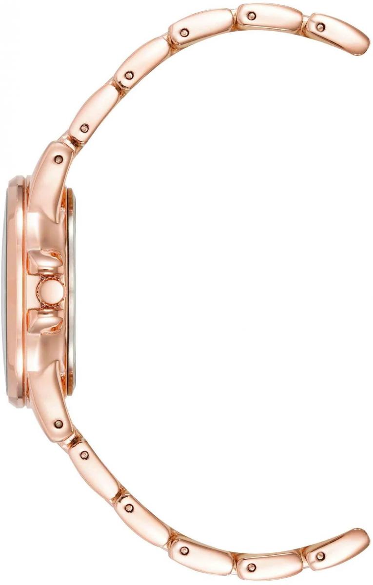 Наручные часы  Anne Klein  Metals Anne Klein 4132BLRG (фото 3)