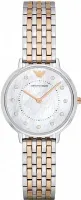 Наручные часы Emporio Armani AR2508