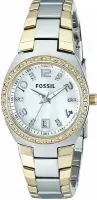 Наручные часы Fossil AM4183