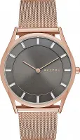 Наручные часы Skagen SKW2378