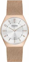 Наручные часы Skagen SKW6818