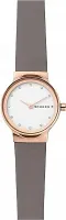Наручные часы Skagen SKW2669
