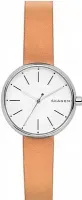 Наручные часы Skagen SKW2594