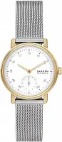 Наручные часы Skagen SKW3101