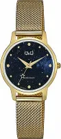 Наручные часы Q&Q Q48AJ005Y