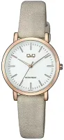 Наручные часы Q&Q QZ87J111Y