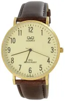 Наручные часы Q&Q QZ02J103Y