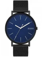 Наручные часы Skagen SKW6529