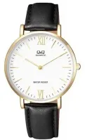 Наручные часы Q&Q Q974J121Y