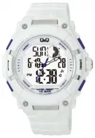 Наручные часы Q&Q GW80J005Y