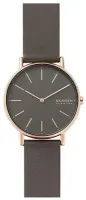 Наручные часы Skagen SKW2794