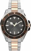 Наручные часы Timex TW2V42100