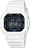 Наручные часы Casio DW-B5600SF-7E