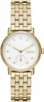 Наручные часы Skagen SKW3102