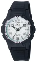 Наручные часы Q&Q VP84J011Y
