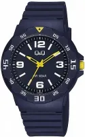 Наручные часы Q&Q V02AJ016Y