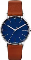 Наручные часы Skagen SKW6355
