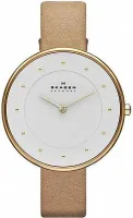 Наручные часы Skagen SKW2137