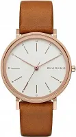 Наручные часы Skagen SKW2488