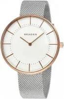 Наручные часы Skagen SKW2583