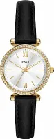 Наручные часы Fossil ES5127