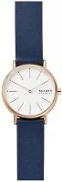 Наручные часы Skagen SKW2838