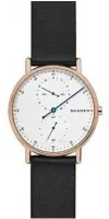 Наручные часы Skagen SKW6390