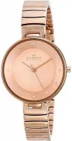Наручные часы Skagen SKW2227