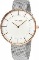Наручные часы Skagen SKW2583