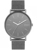 Наручные часы Skagen SKW6549