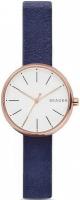 Наручные часы Skagen SKW2592