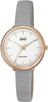 Наручные часы Q&Q QC35J101Y