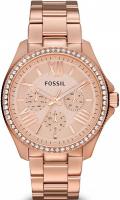 Наручные часы Fossil AM4483