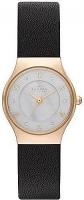 Наручные часы Skagen SKW2209