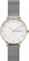 Наручные часы Skagen SKW2912
